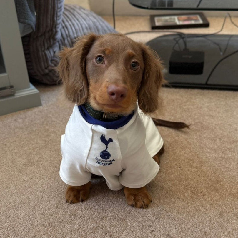 Personalised Spurs Dog Shirt