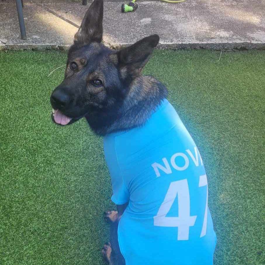 Personalised Man City Dog Shirt