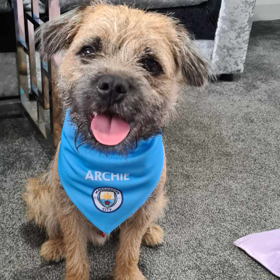 Personalised Man City Dog Bandana
