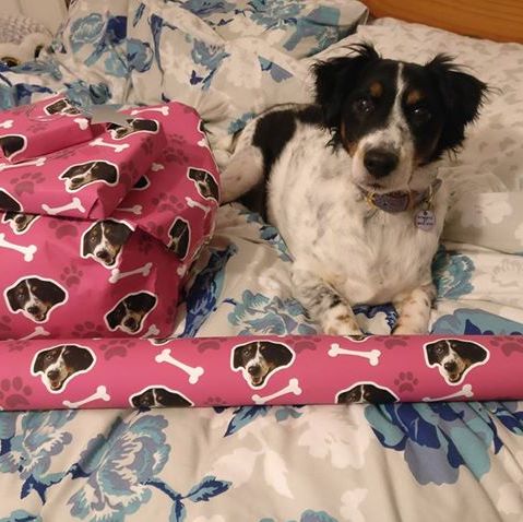 Your Dog Personalised Wrapping Paper