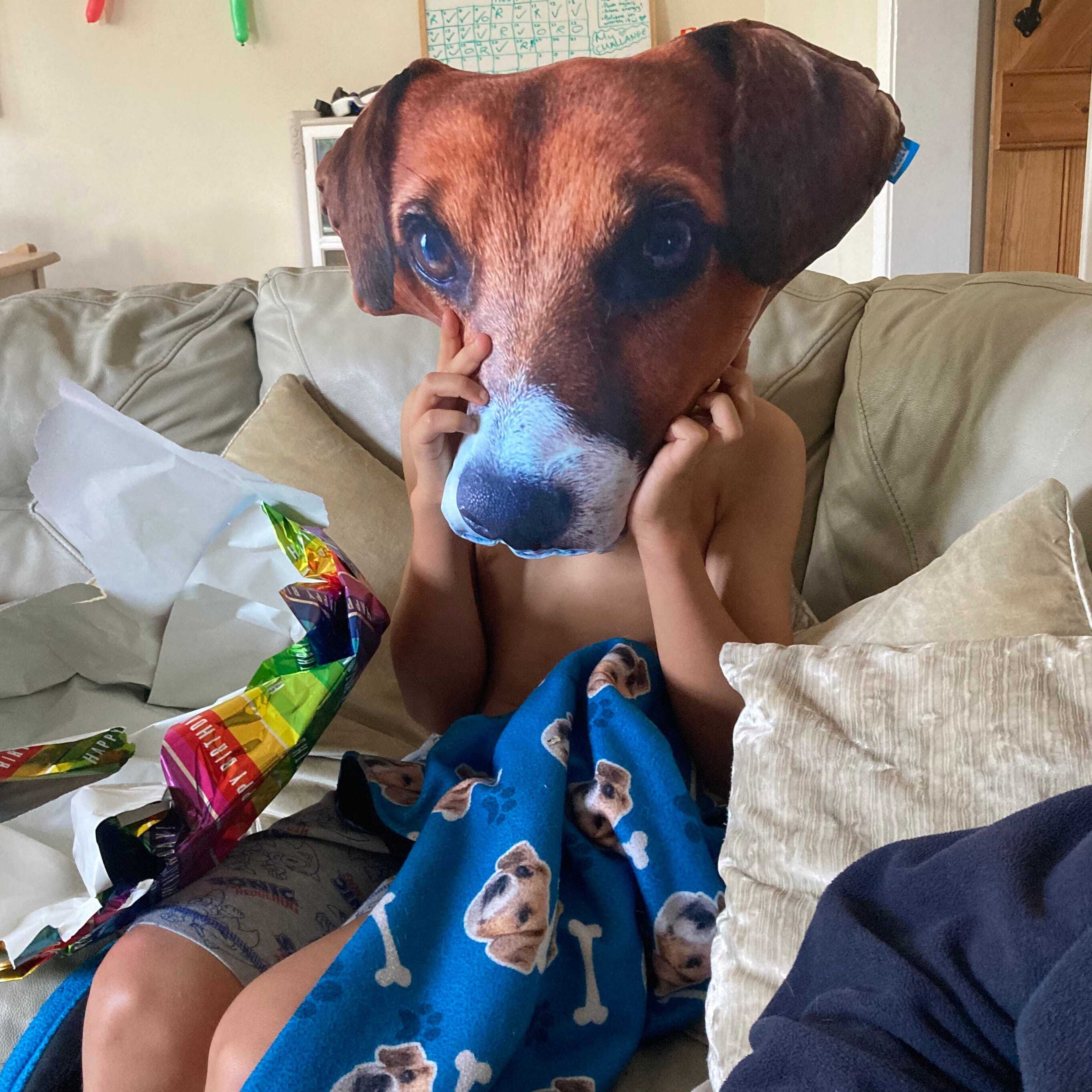 Your Dog Monster Face Cushion