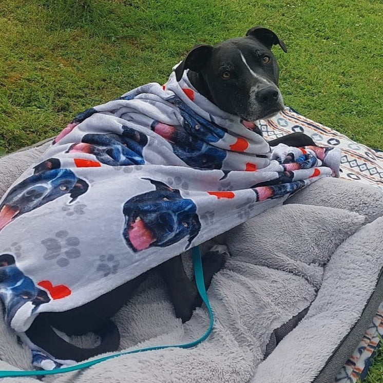 Paws and Hearts Personalised Blanket