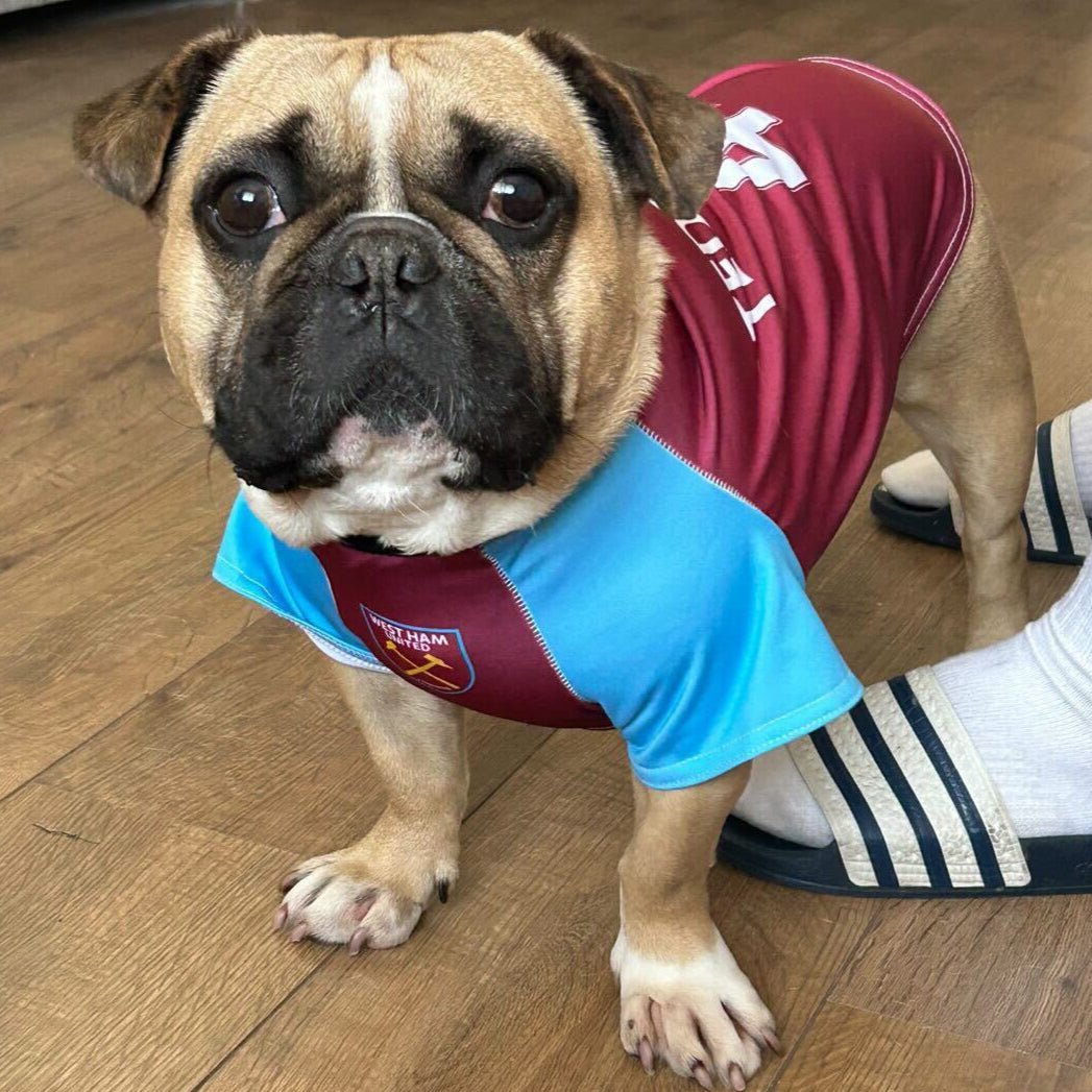 Personalised West Ham Dog Shirt