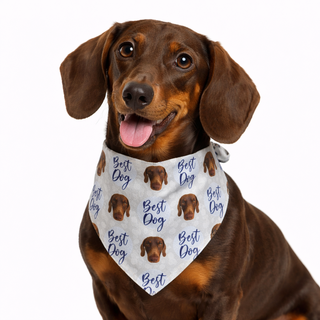 Best Dog Personalised Wedding Bandana
