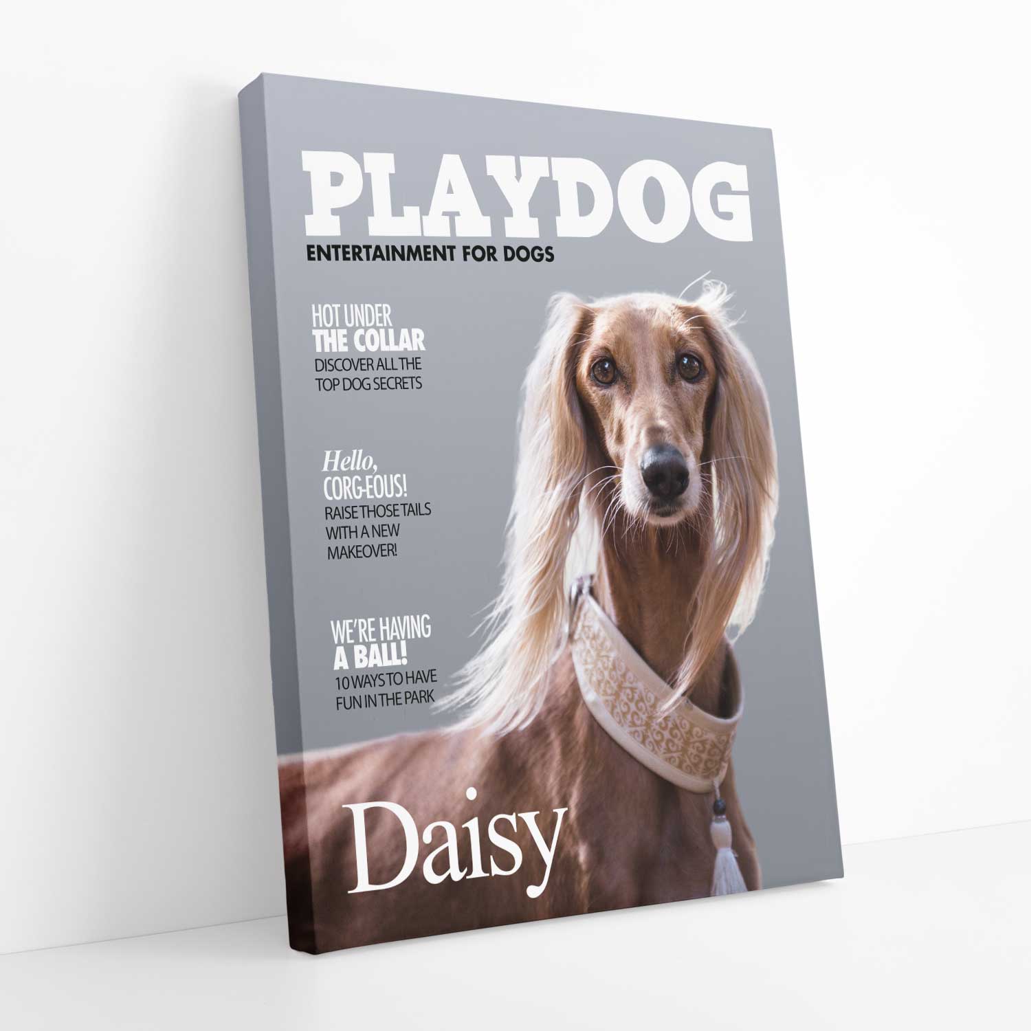 PlayDog Photo Canvas