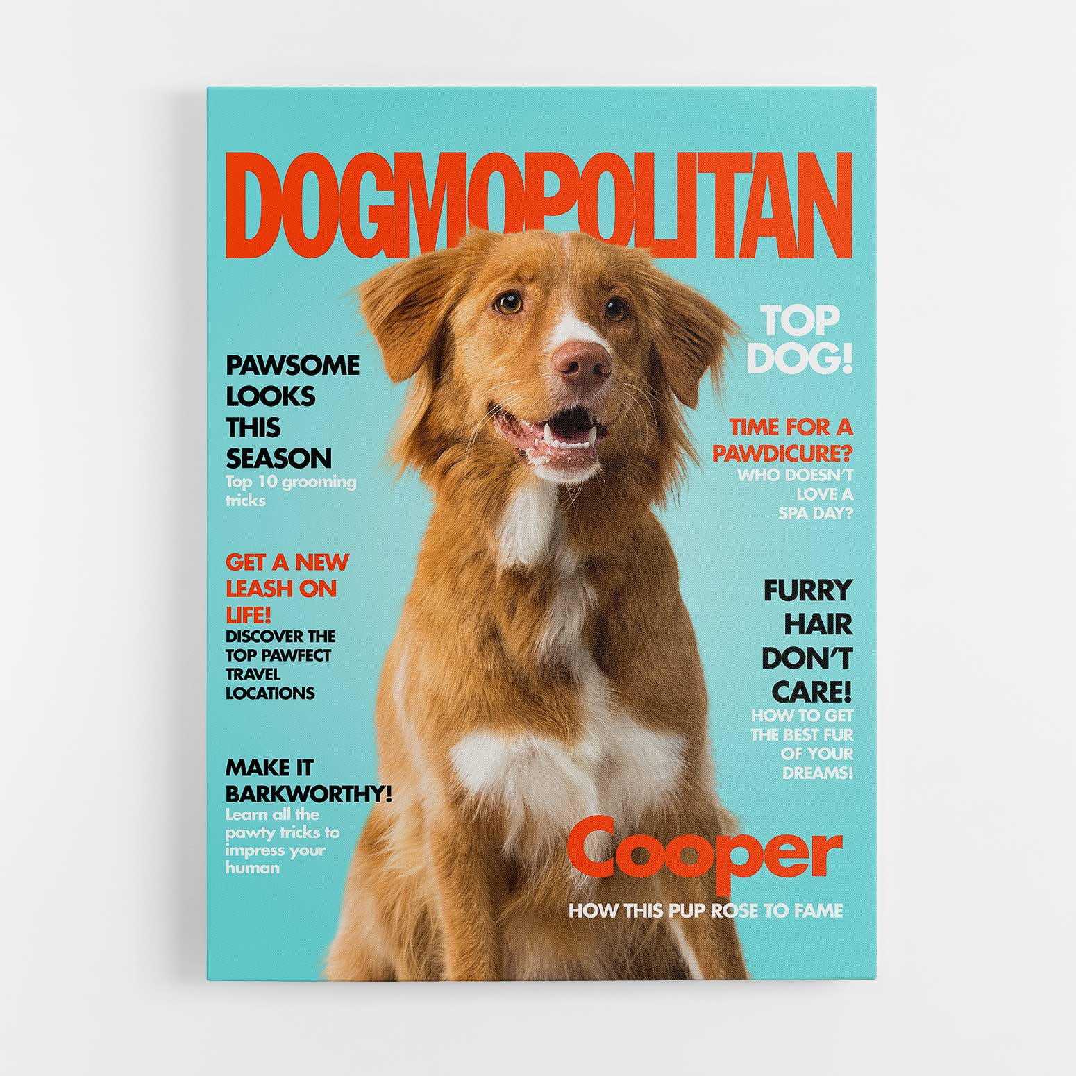 Dogmopolitan Photo Canvas