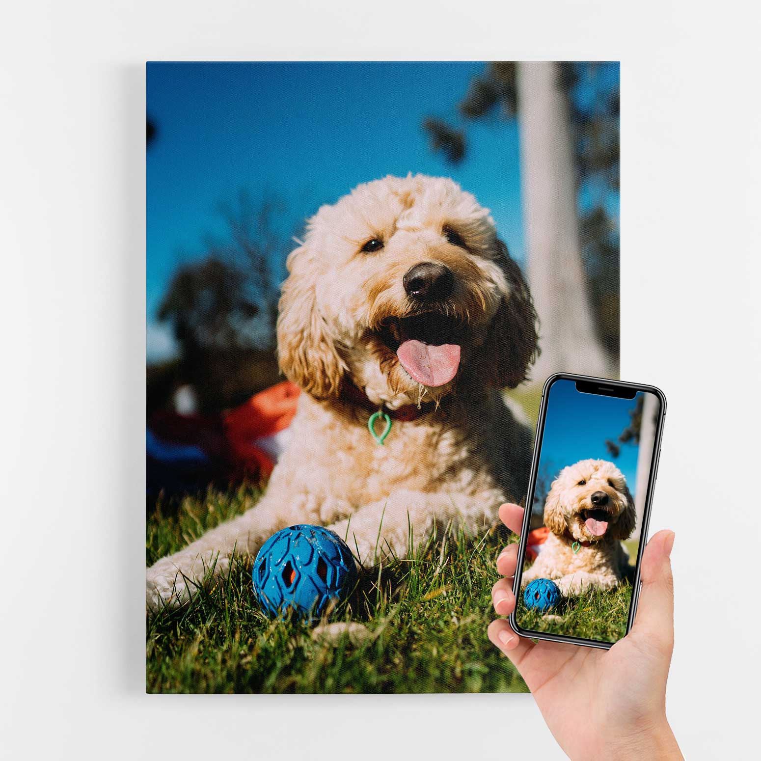 Your Dog Full Photo Canvas