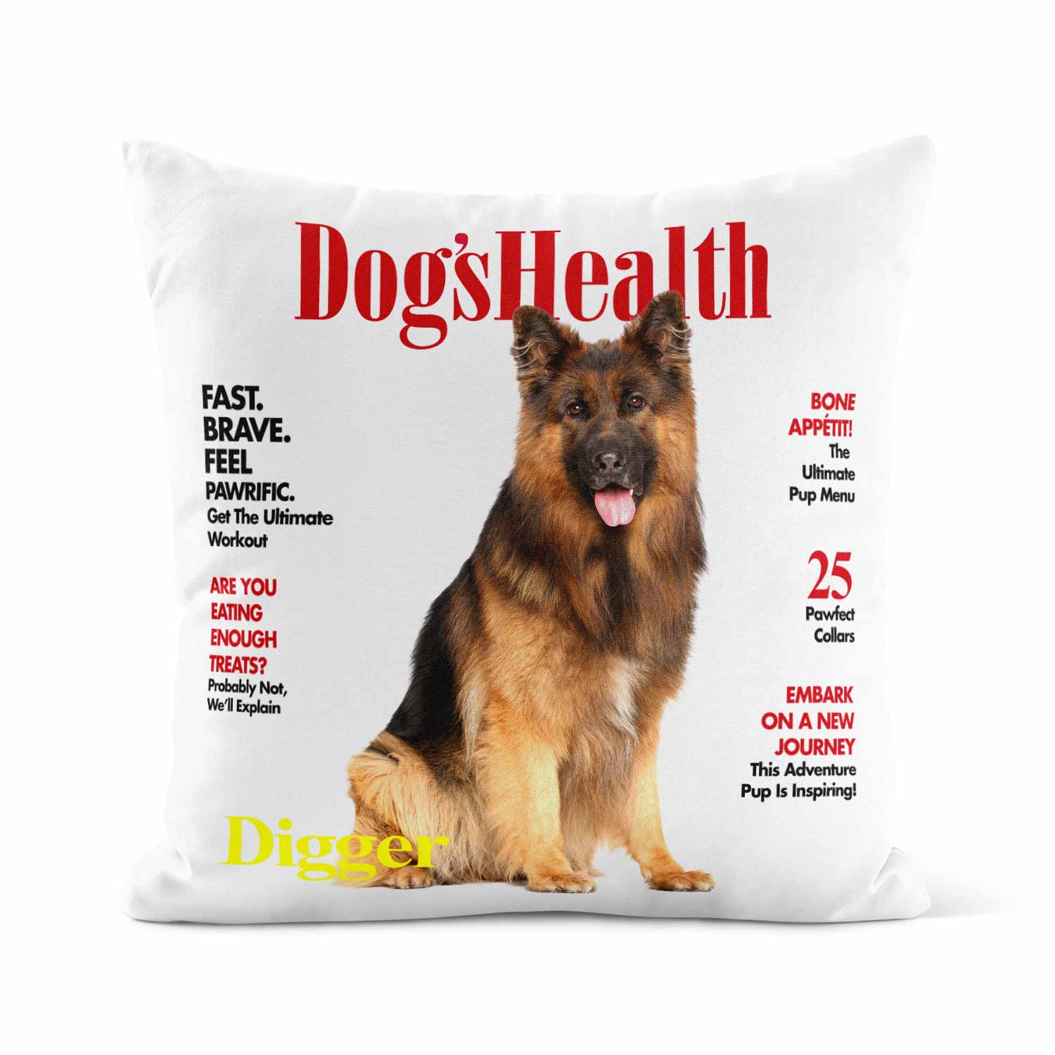 Dogs Health Magazine Personalised Cushion