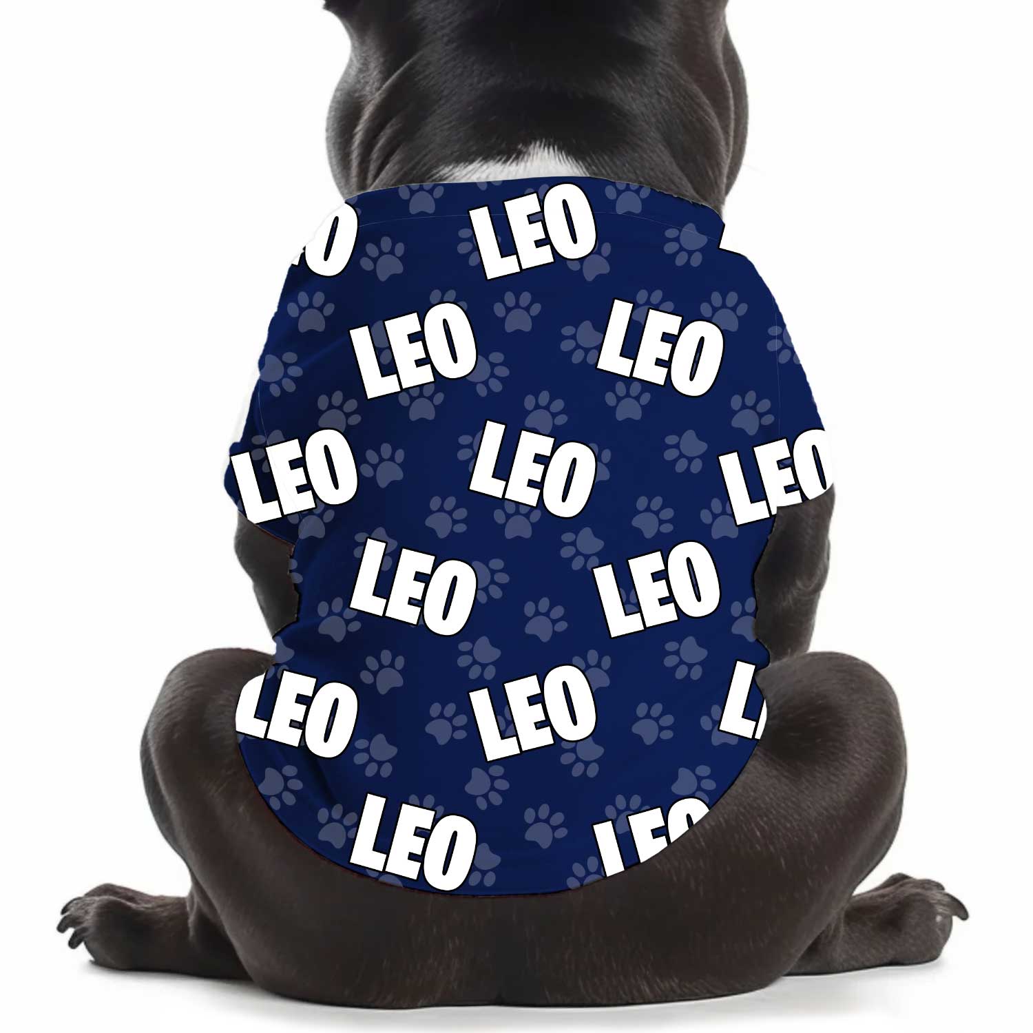 Dog Name Paw Print Personalised Dog T Shirt