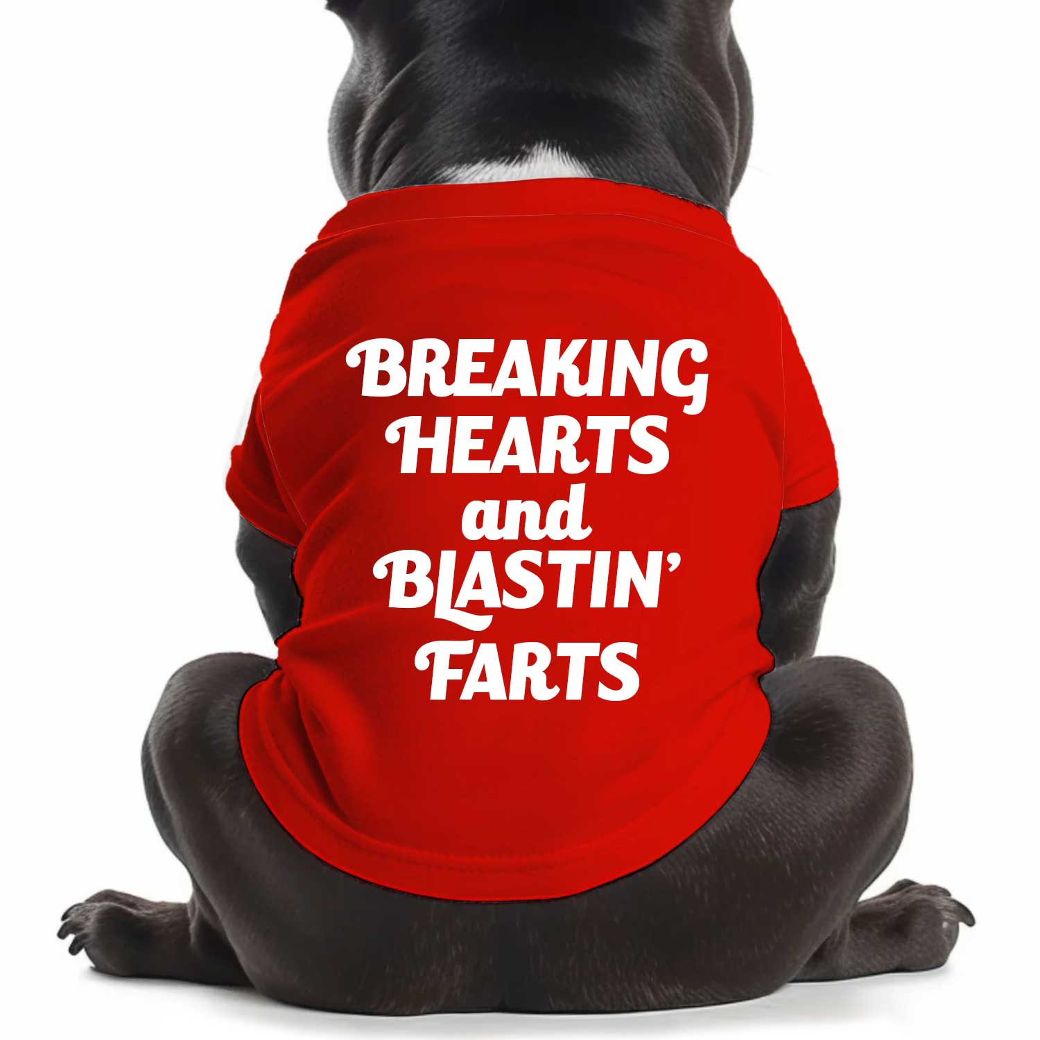 Breaking Hearts & Blasting Farts Dog T Shirt