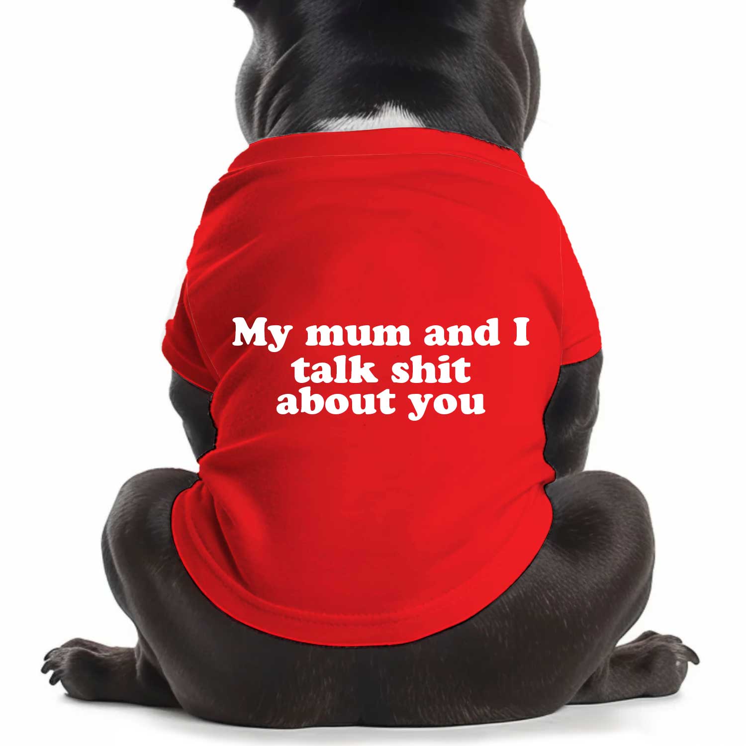 My Mum And I Talk Shit About You Dog T Shirt