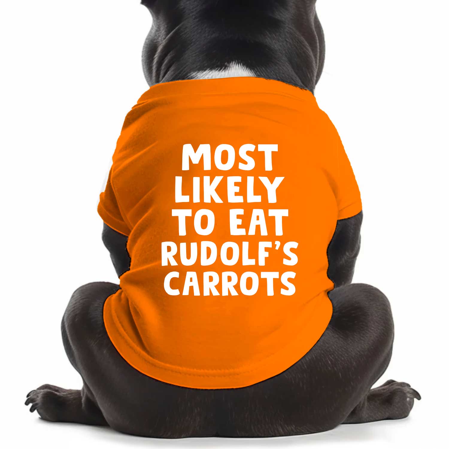 Most Likely To Eat Rudolf's Carrots Dog T Shirt