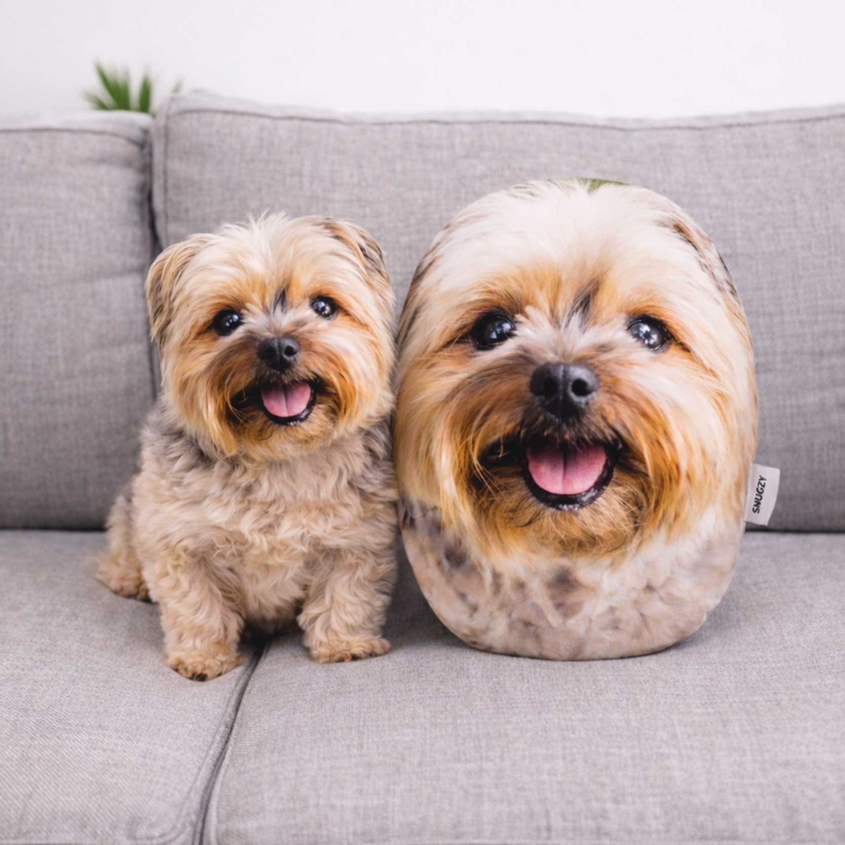Your Dog Personalised Face Cushion