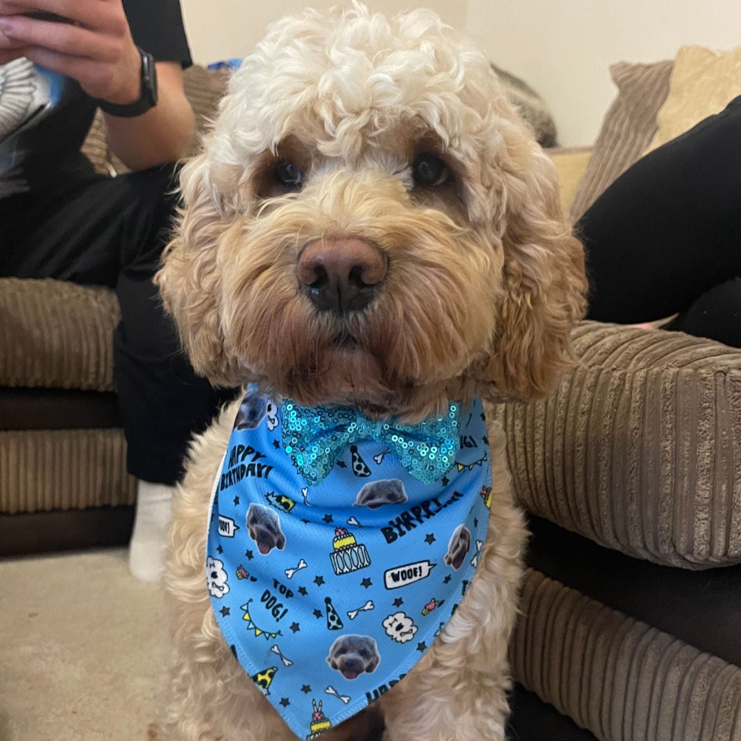 Top Dog Personalised Birthday Bandana
