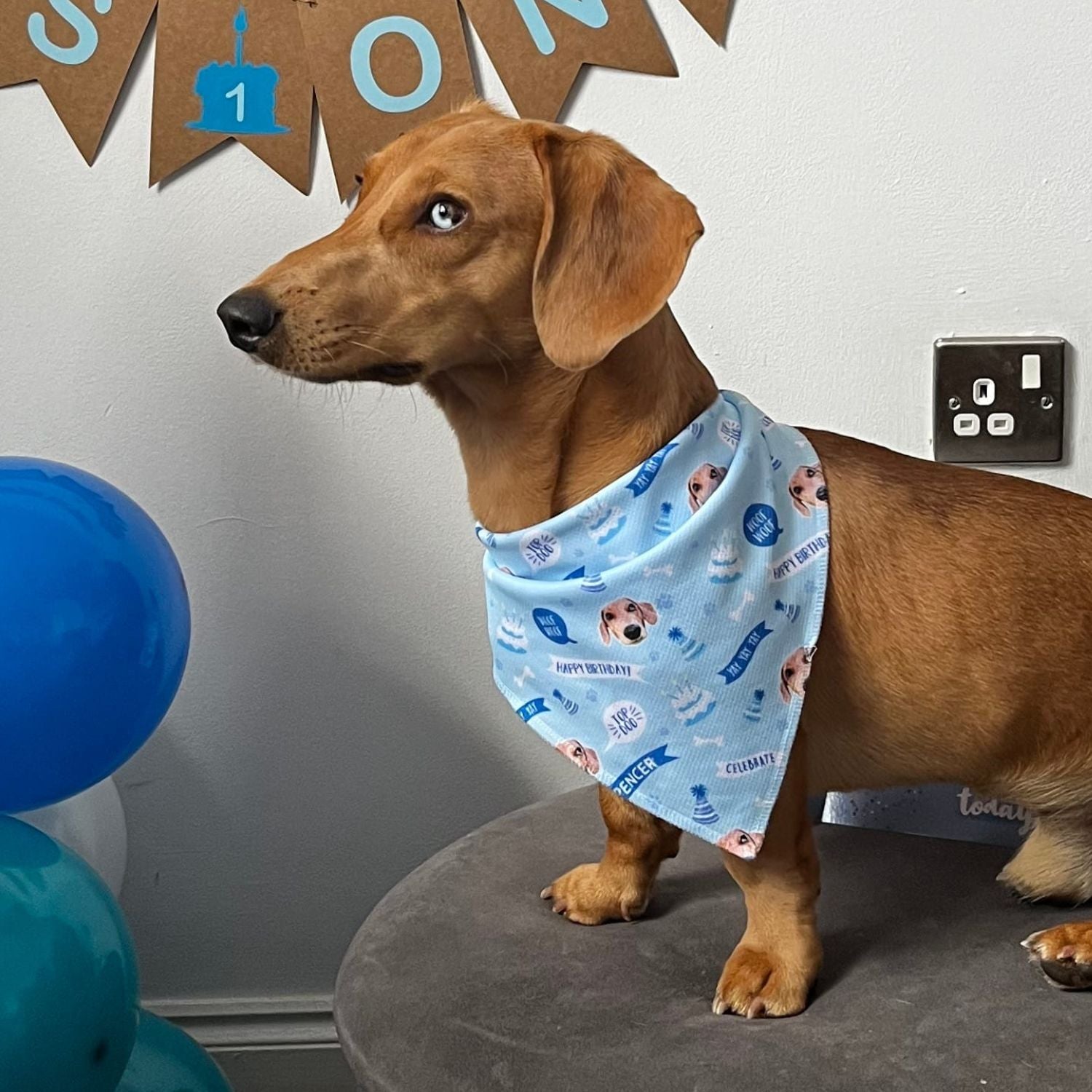 Happy Birthday Personalised Dog Bandana