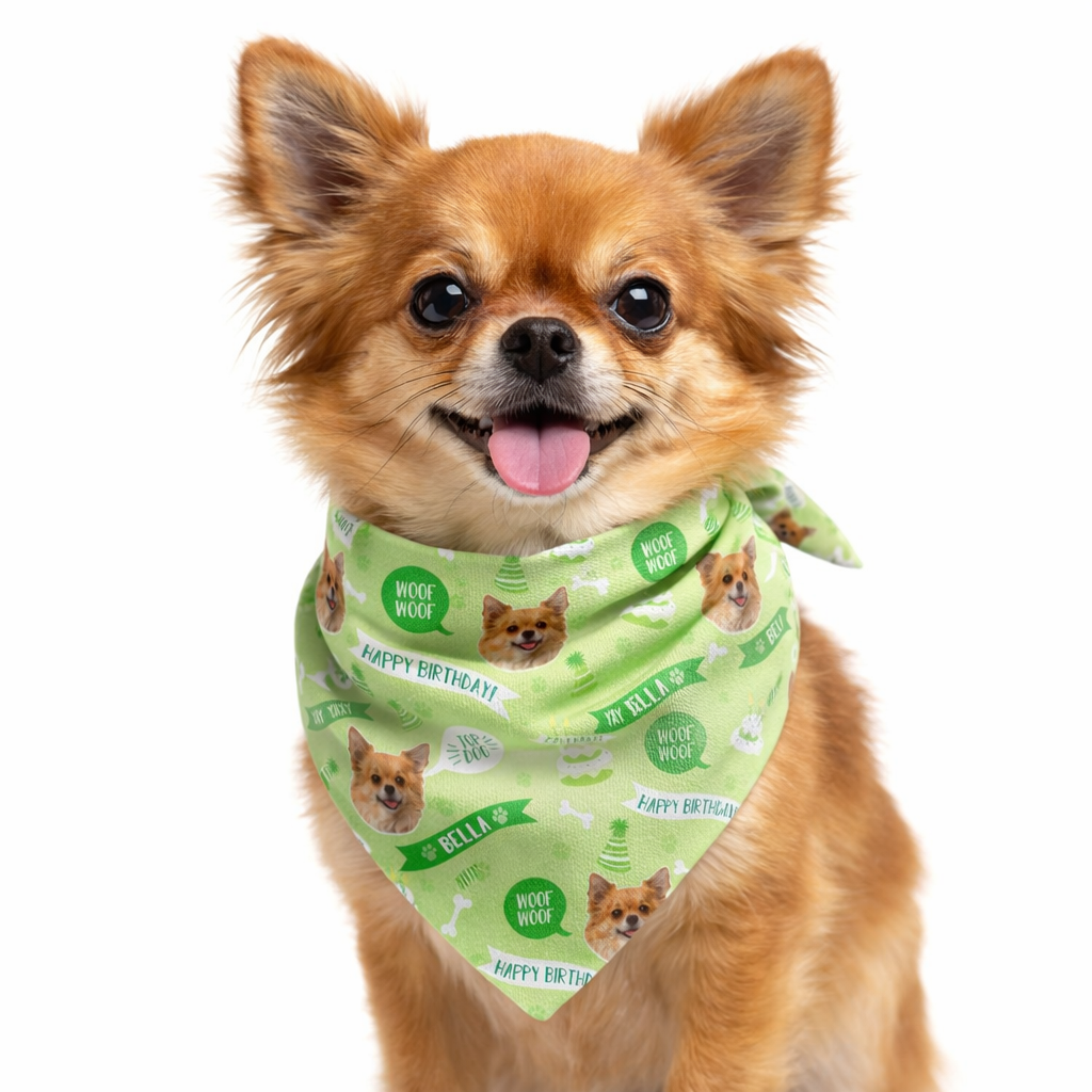 Happy Birthday Personalised Dog Bandana