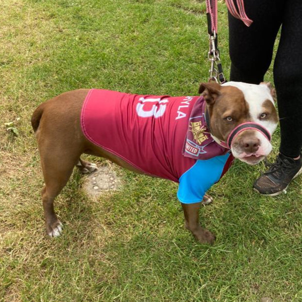 Personalised West Ham Dog Shirt