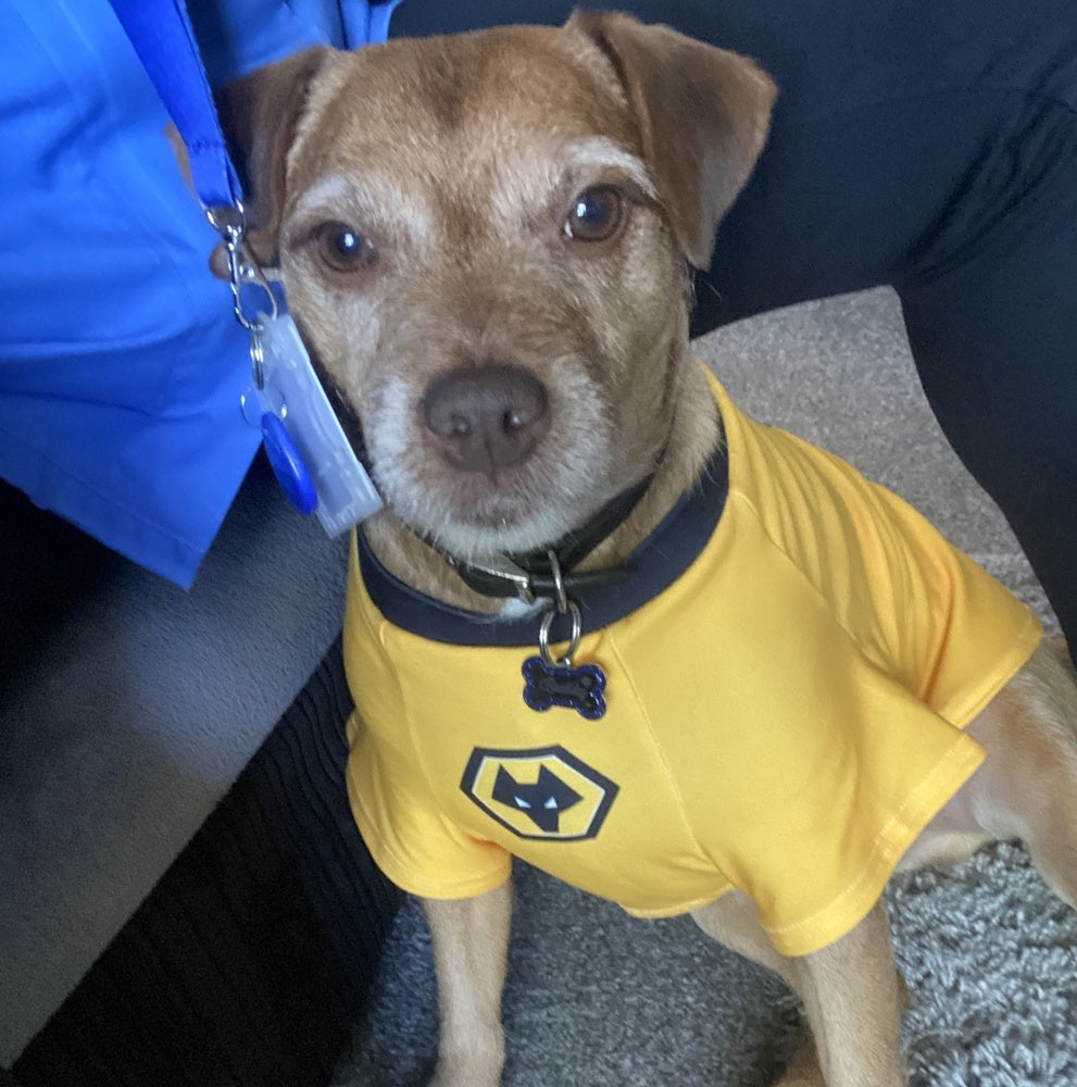 Personalised Wolves Dog Shirt