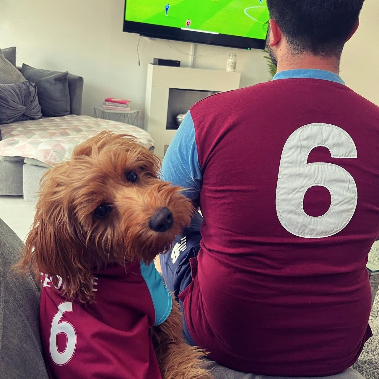 Personalised West Ham Dog Shirt