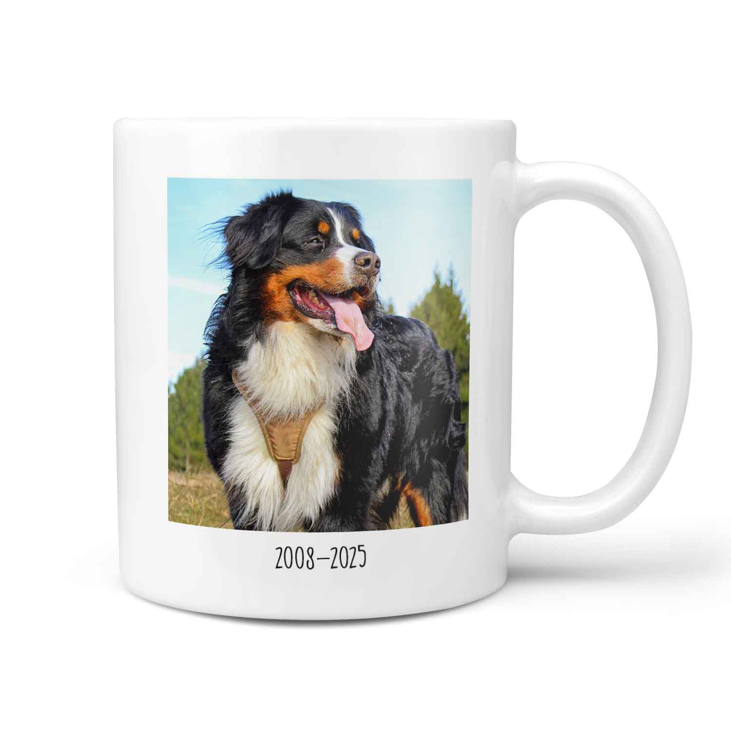 (Name) Favourite Hello & Hardest Goodbye Dog Memorial Mug