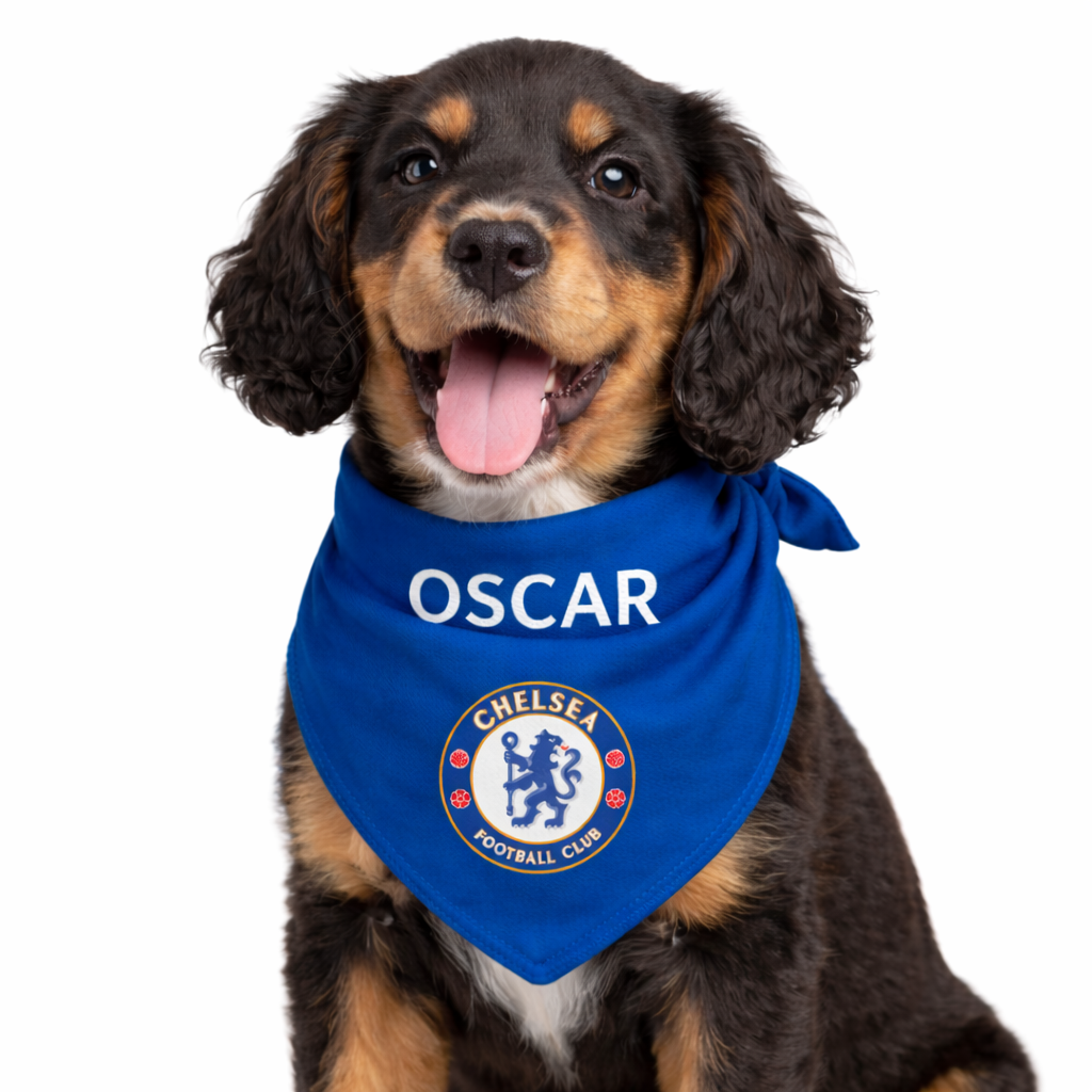 Personalised Chelsea Dog Bandana