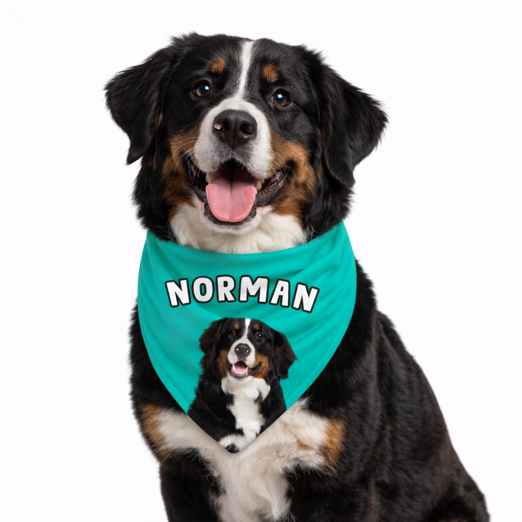 Personalised Name Dog Bandana