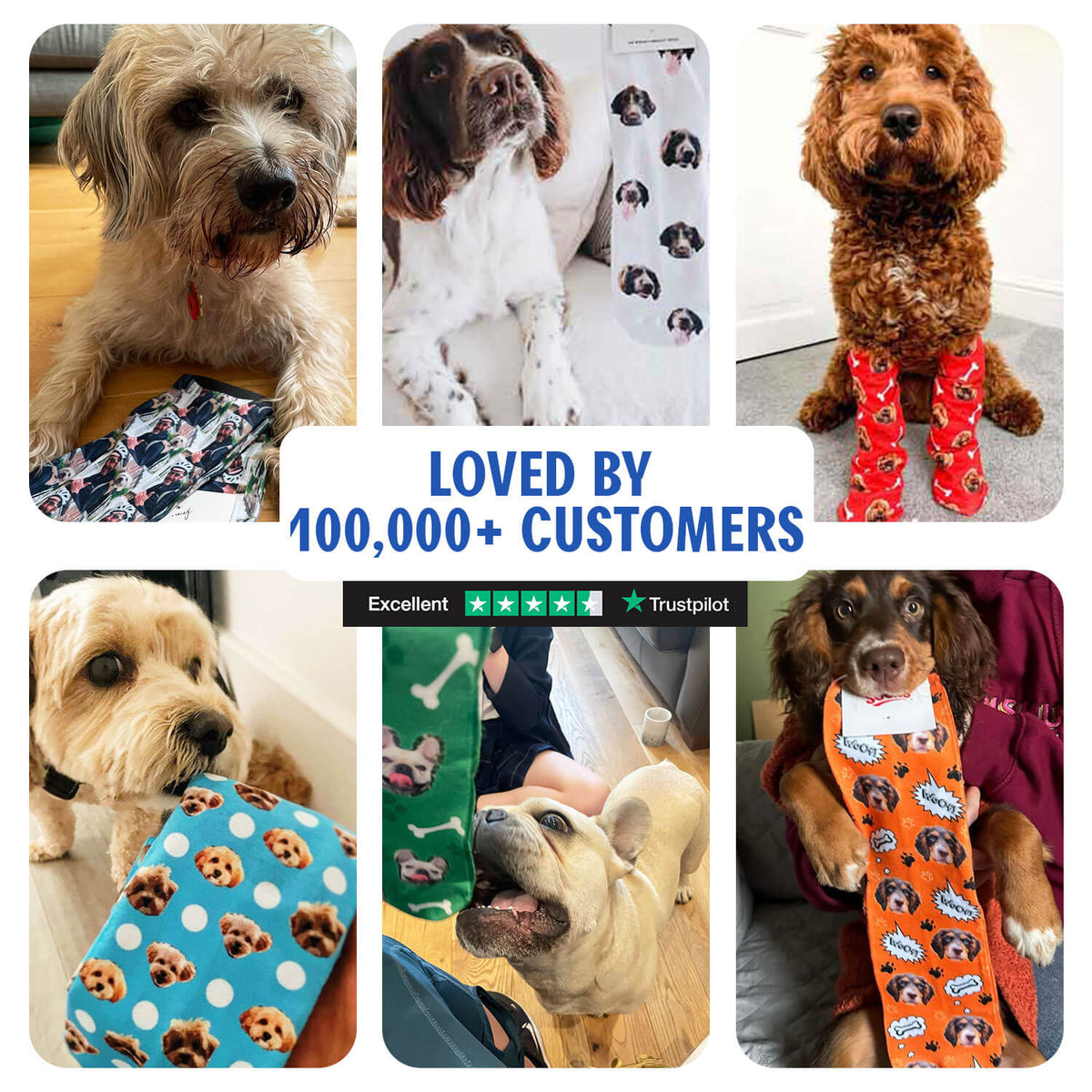 Your Dog on Socks