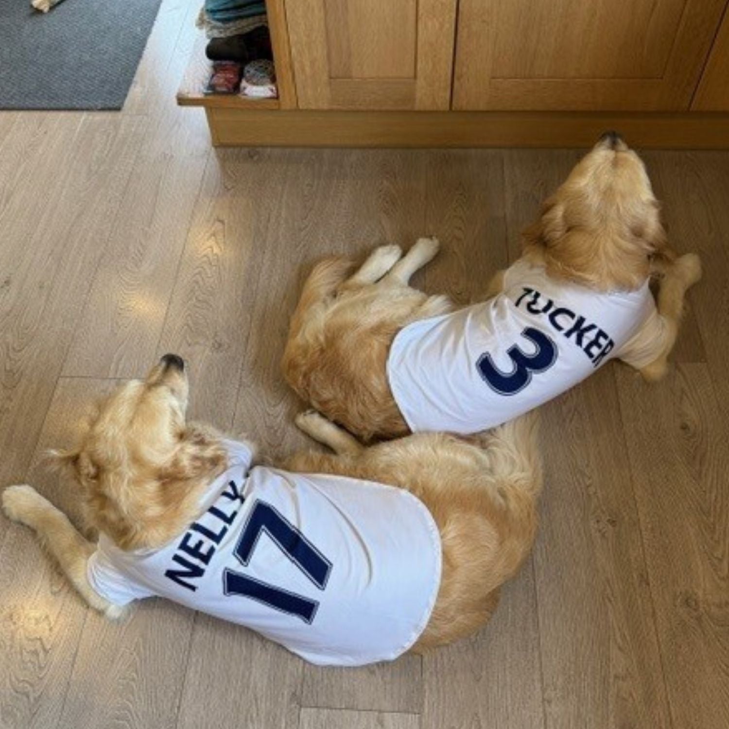 Personalised Spurs Dog Shirt