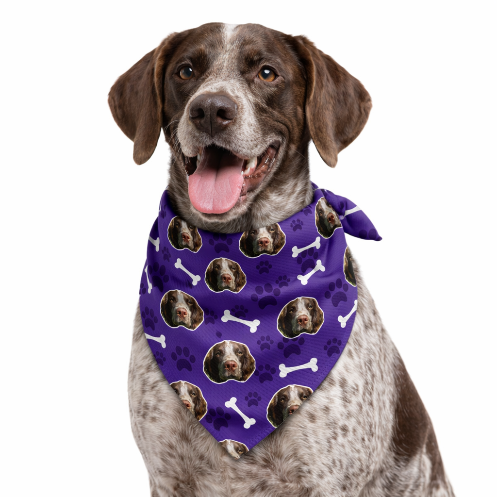 The Dogsy Personalised Dog Bandana