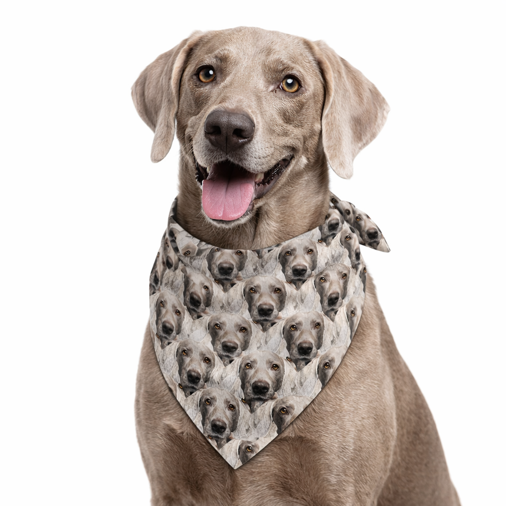 The Dogsy Personalised Mash Up Dog Bandana
