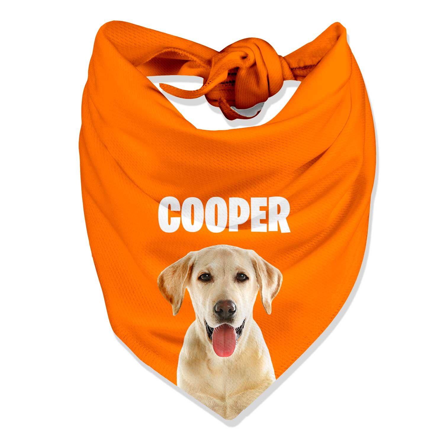 Your Dog Name Personalised Bandana