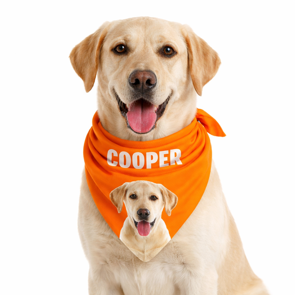 Your Dog Name Personalised Bandana