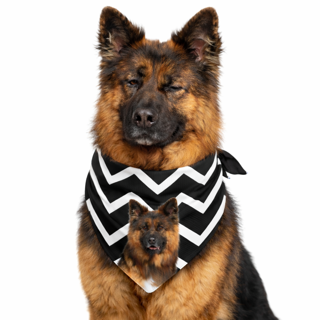 Zigzag Personalised Dog Bandana