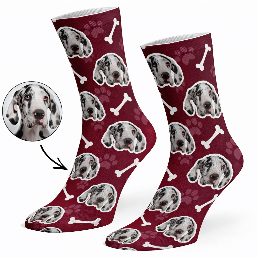Your Dog on Socks