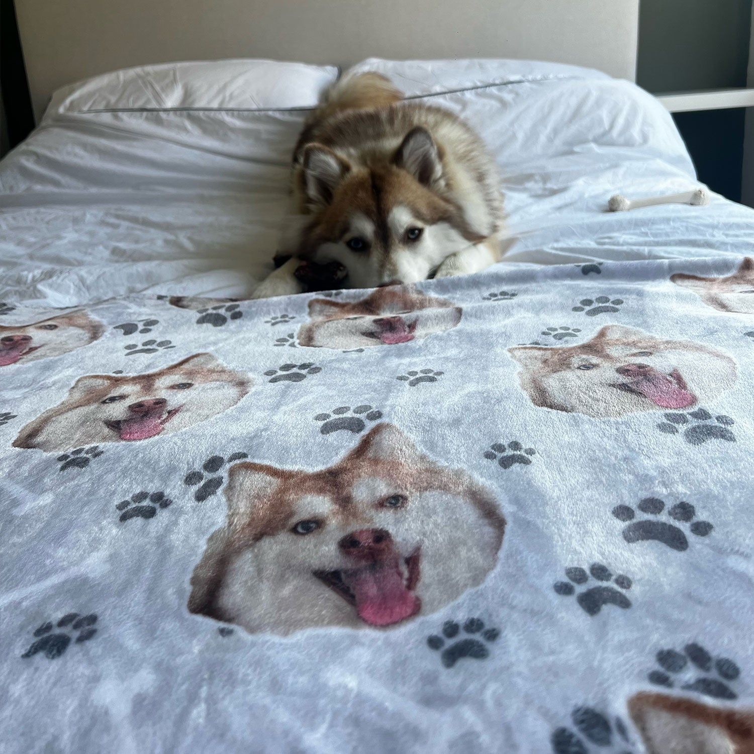 dog personalised blanket