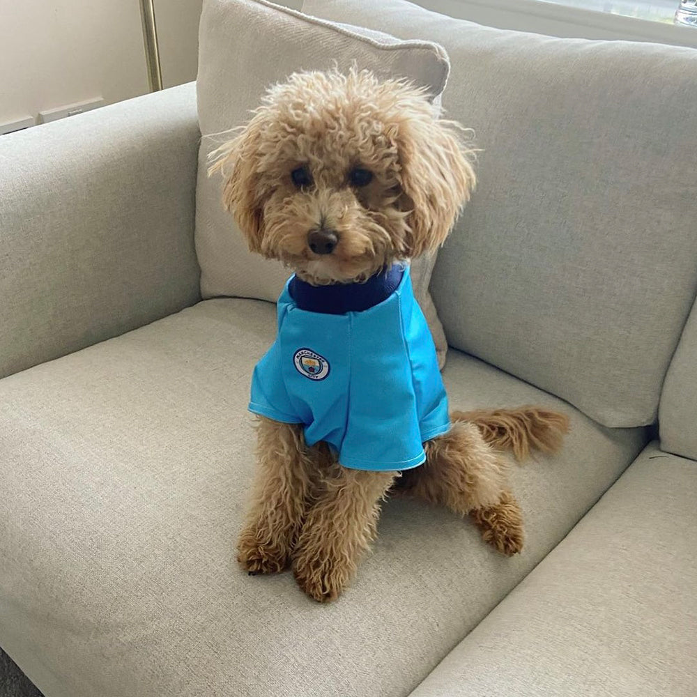 Personalised Man City Dog Shirt
