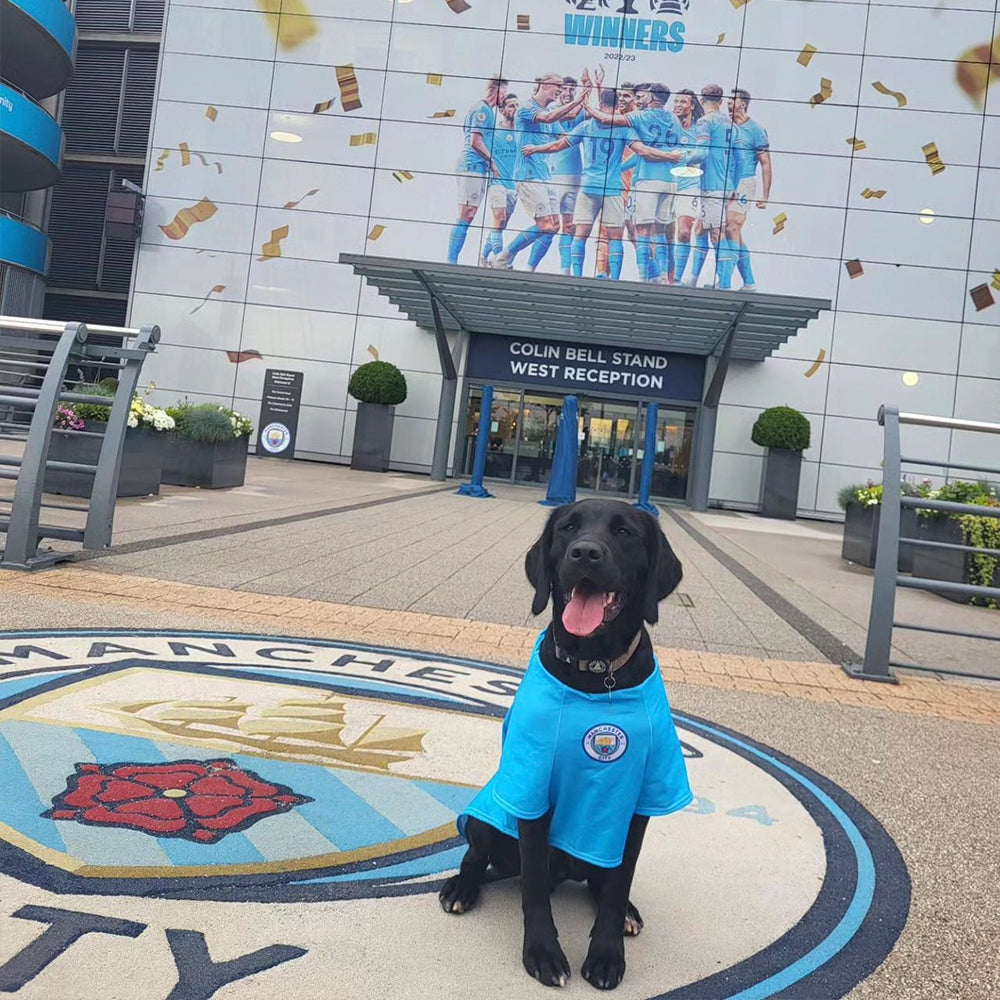 Personalised Man City Dog Shirt