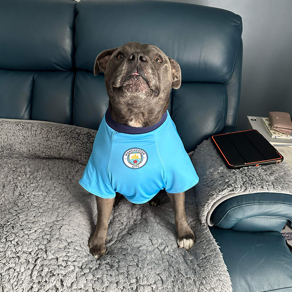 Man City Dog Shirt
