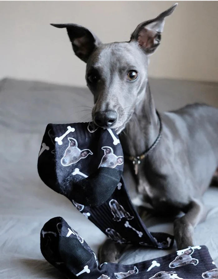 Your Dog on Socks