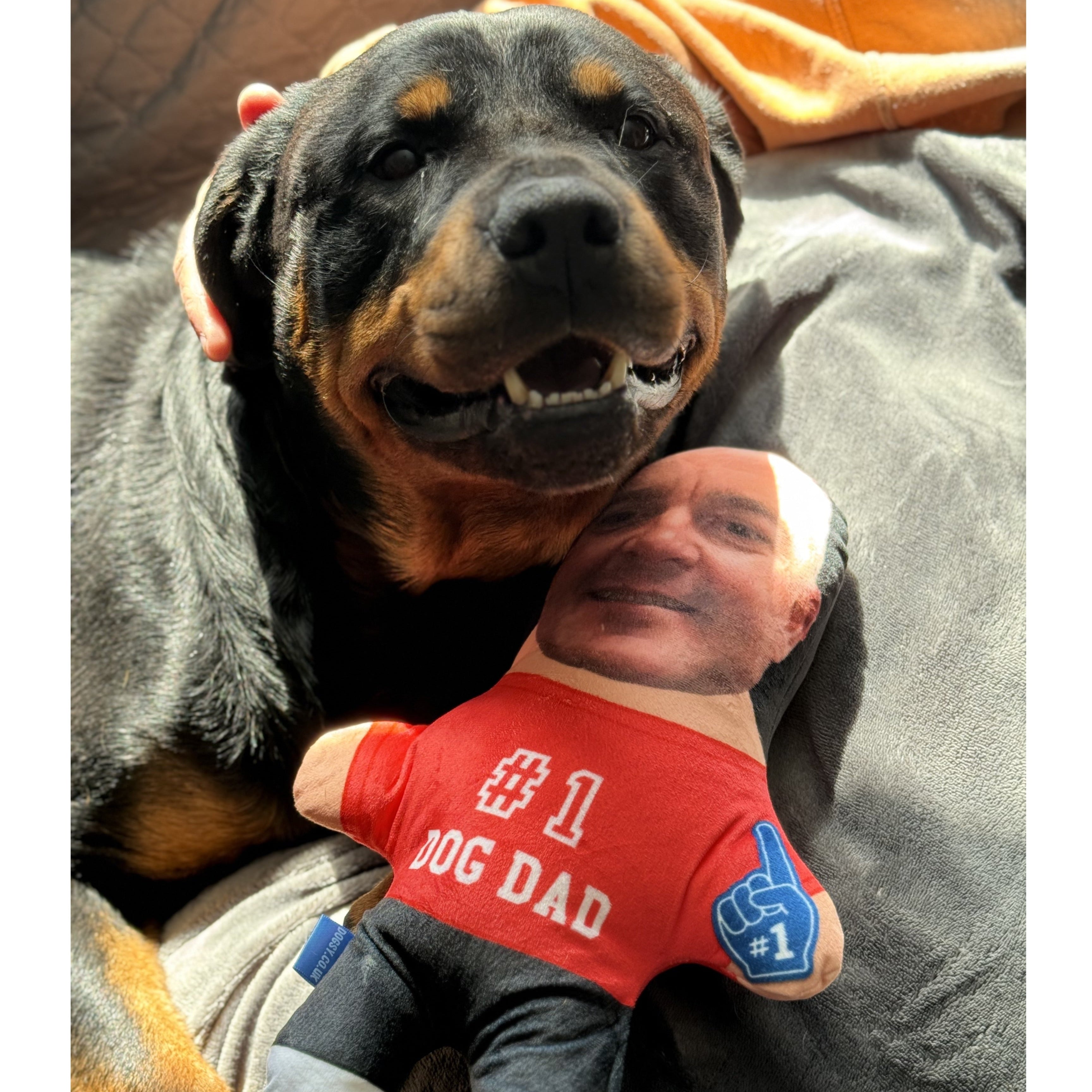 #1 Dog Dad Face Pillow