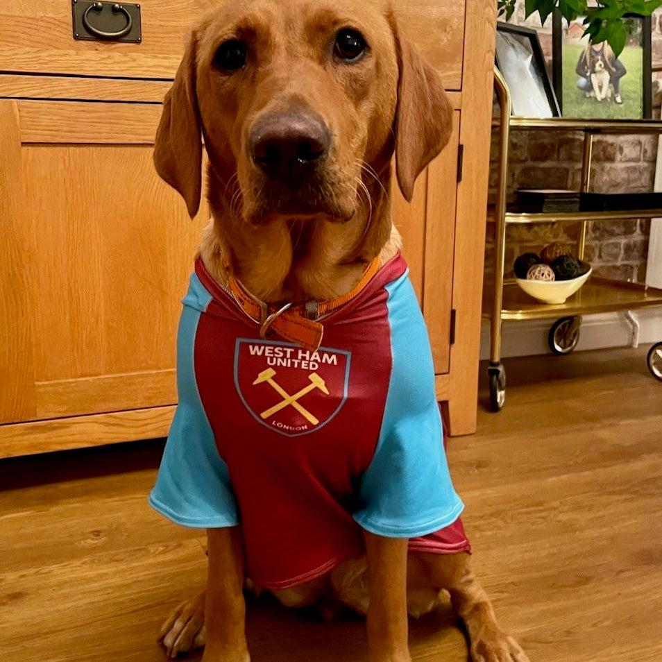 Personalised West Ham Dog Shirt