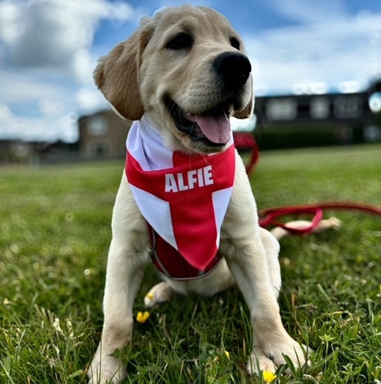 Personalised England Dog Bandana