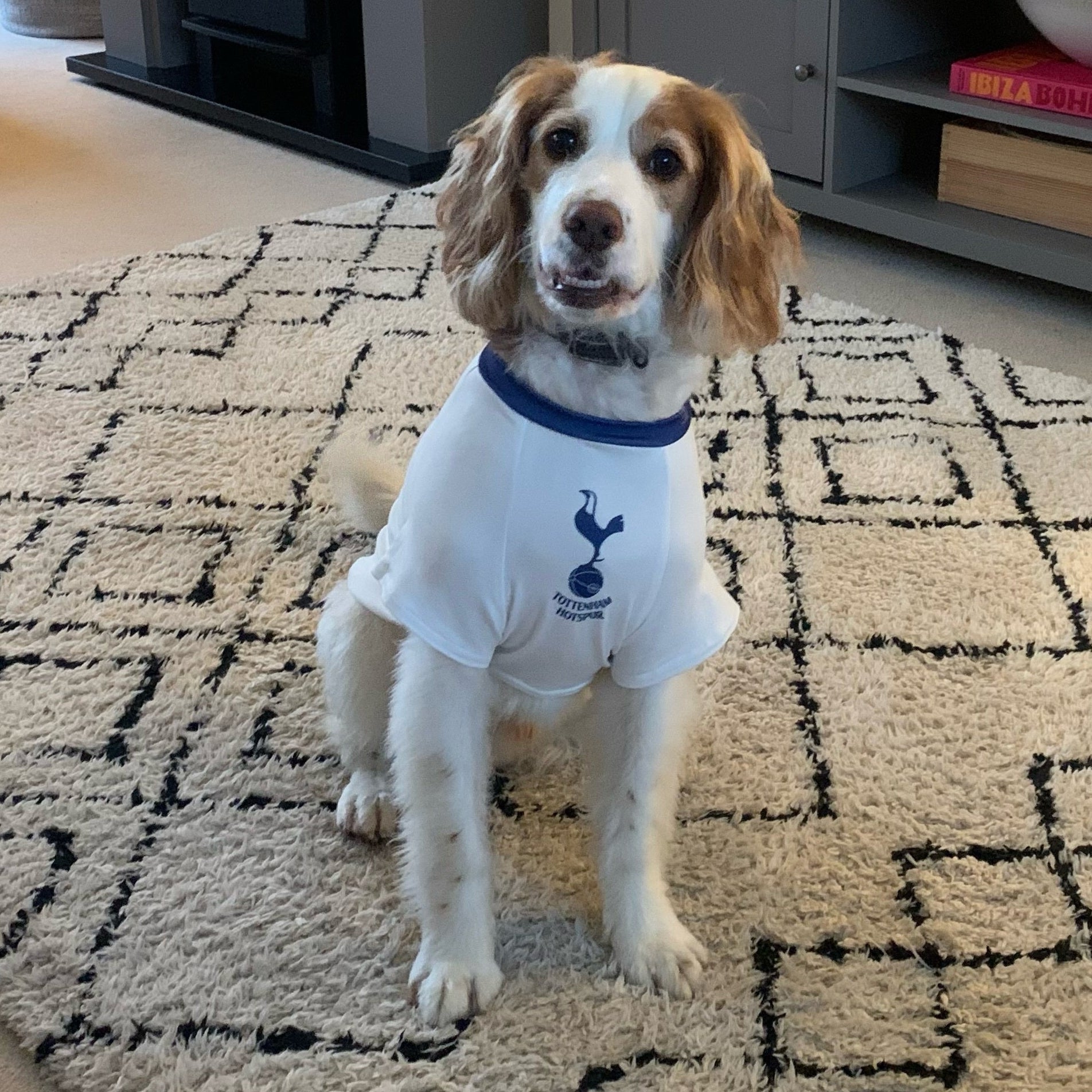Personalised Spurs Dog Shirt