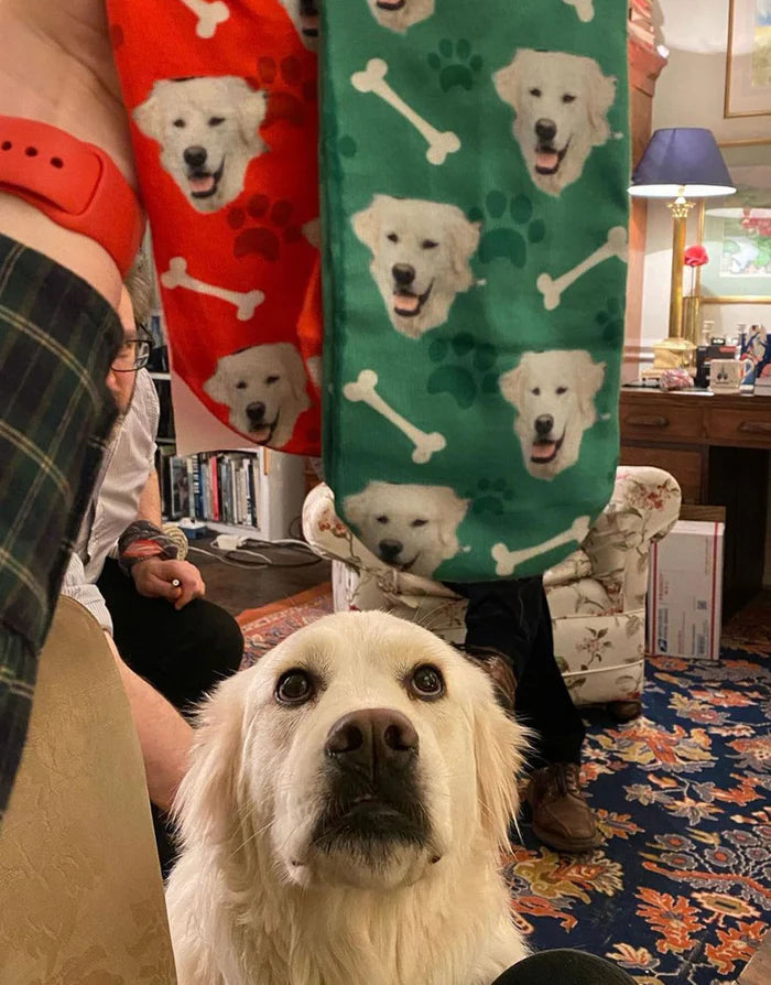 Your Dog on Socks