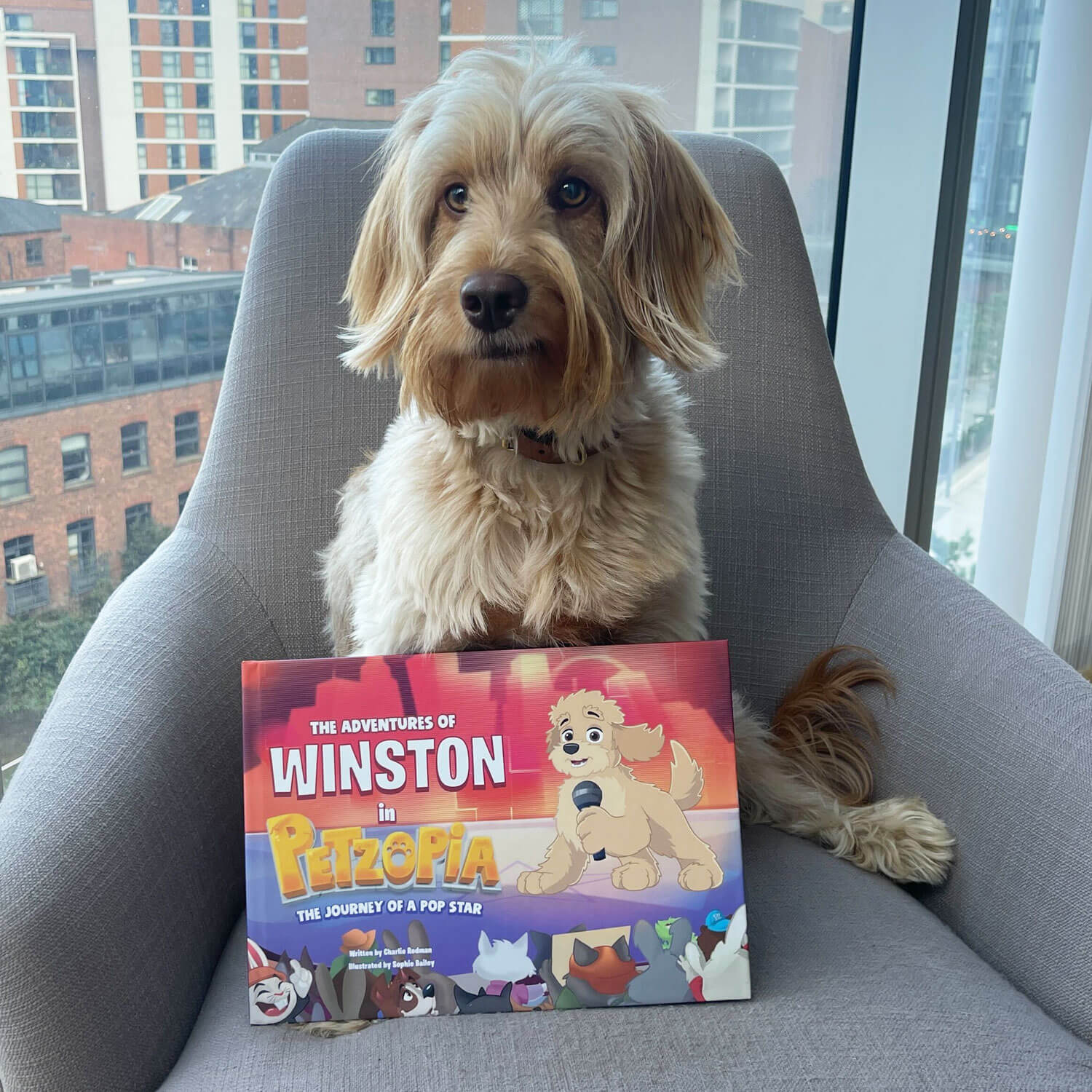 The Journey of a Pop Star Personalised Dog Storybook