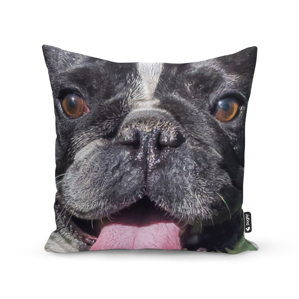 Your Dog Face Splat Cushion