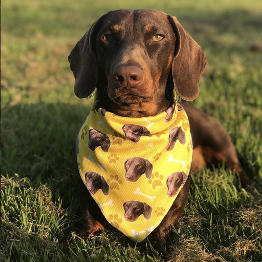 My Dogs Photo On A Bandana