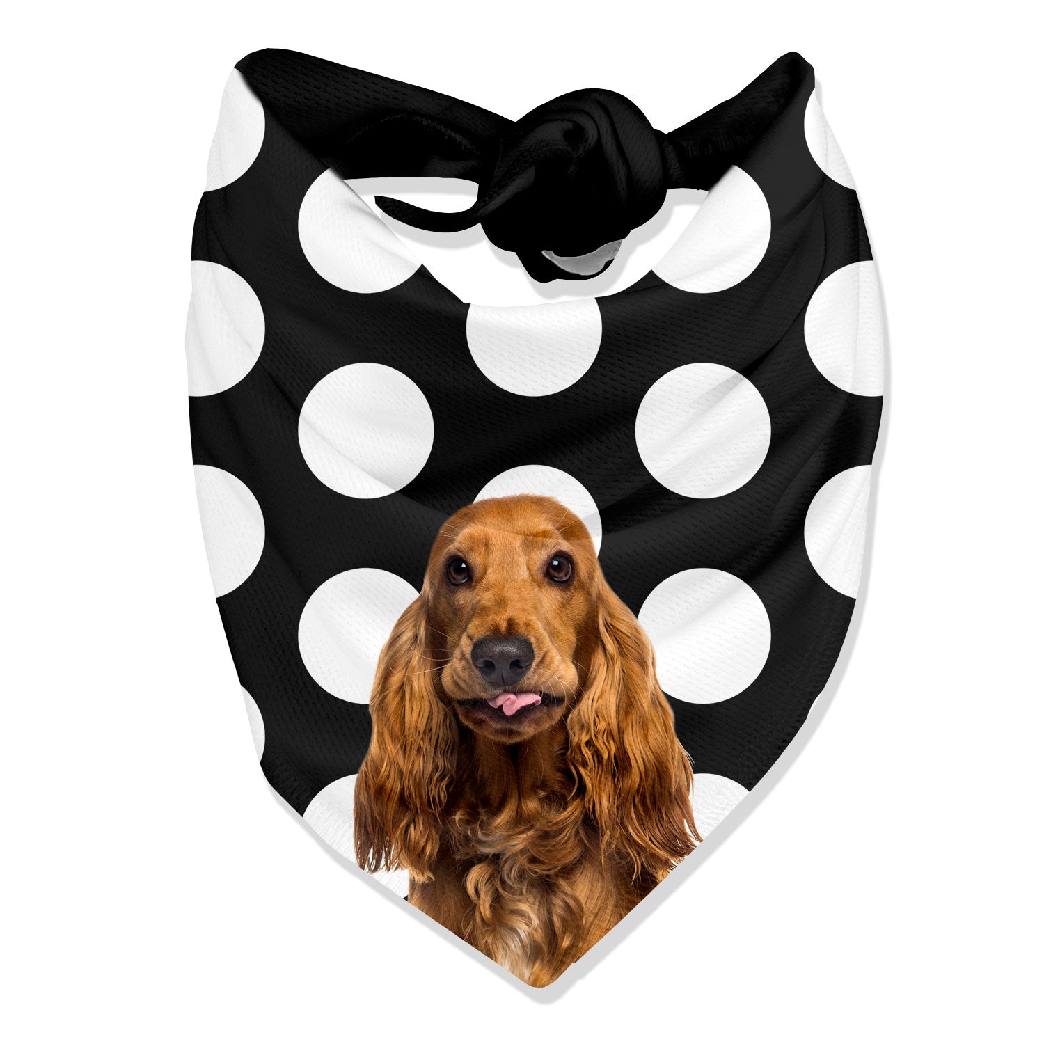 Dogsy Spotty Personalised Dog Bandana