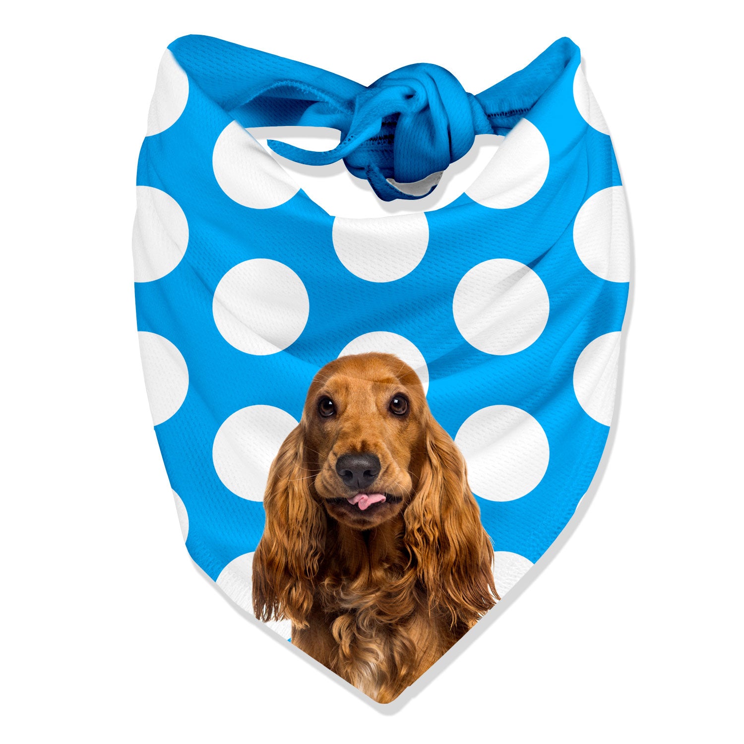 Dogsy Spotty Personalised Dog Bandana
