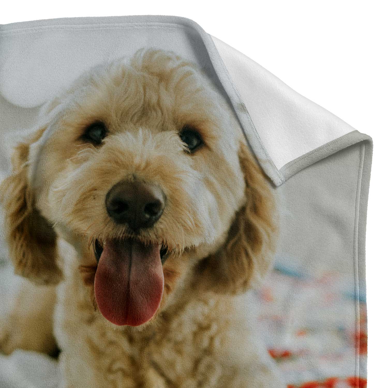 dog photo blanket